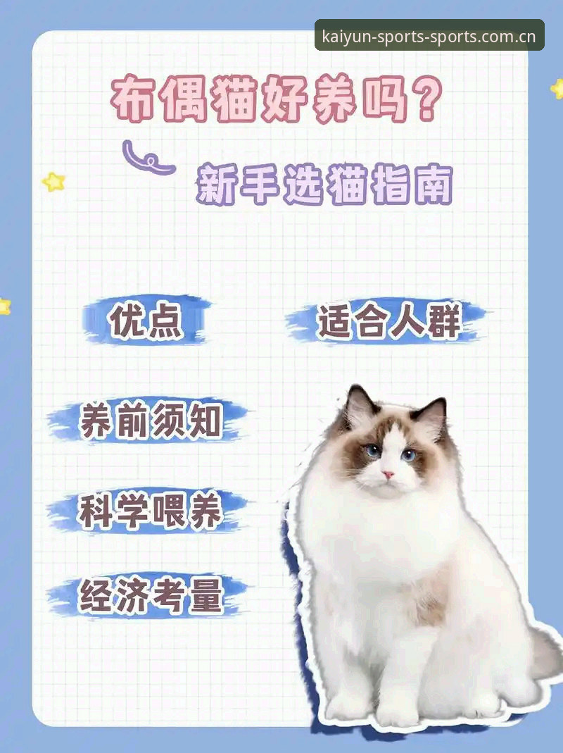 简洁门牌数据替代推荐对比——重访官方主页的终极指南